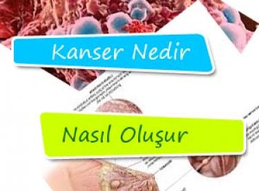 Bayburt Halk Sağlığı Müdürlüğünden Kanser Bilgilendirmesi