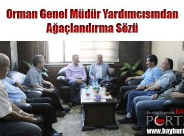 Orman Genel Müdür Yardımcısından Ağaçlandırma Sözü