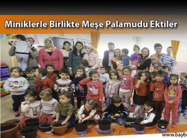 Miniklerle Birlikte Meşe Palamudu Ektiler