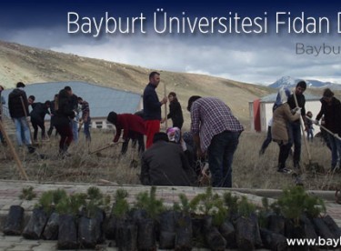 Bayburt Üniversitesi Fidan Dikiyor