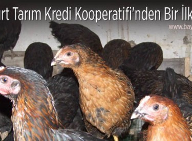 Bayburt Tarım Kredi Kooperatifi’nden Bir İlk Daha