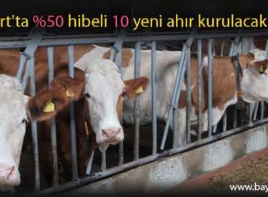 Bayburt’ta %50 hibeli 10 yeni ahır kurulacak