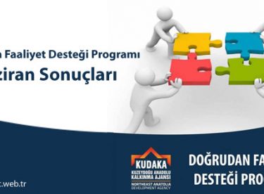 Doğrudan Faaliyet Desteği Programı Haziran Sonuçları