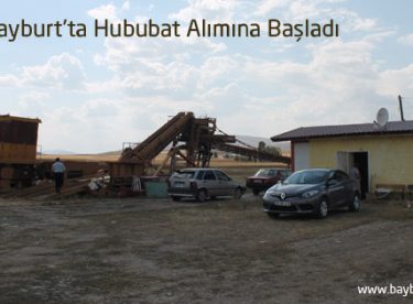 TMO Bayburt’ta Hububat Alımına Başladı