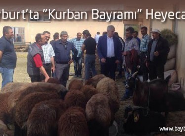 Bayburt’ta “Kurban Bayramı” Heyecanı