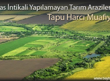 Miras İntikali Yapılamayan Arazilere Tapu Harcı Muafiyeti