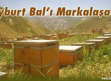 Bayburt Bal’ı Markalaşacak
