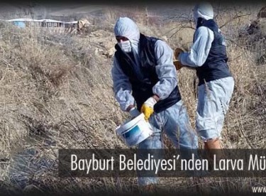Bayburt Belediyesi’nden Larva Mücadelesi
