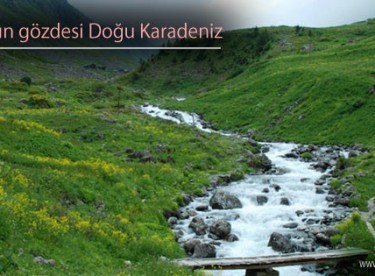 Arap Turistlerin Gözde Mekanı Doğu Karadeniz