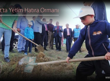 Bayburt’ta Yetim Hatıra Ormanı