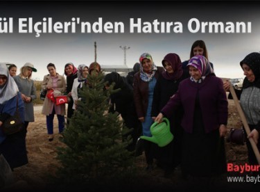 Gönül Elçileri’nden 15 Temmuz Şehitleri’ne Hatıra Ormanı