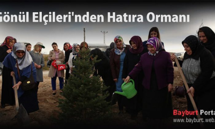 Gönül Elçileri’nden 15 Temmuz Şehitleri’ne Hatıra Ormanı