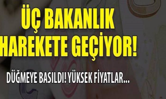 Yüksek fiyatlara neşter vuruluyor