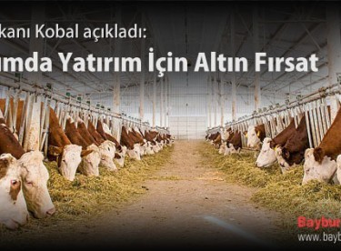 Tarımda Yatırım İçin Altın Fırsat