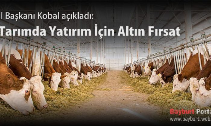 Tarımda Yatırım İçin Altın Fırsat