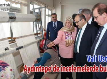 Vali Ustaoğlu, Aydıntepe’de ziyaretlerde bulundu