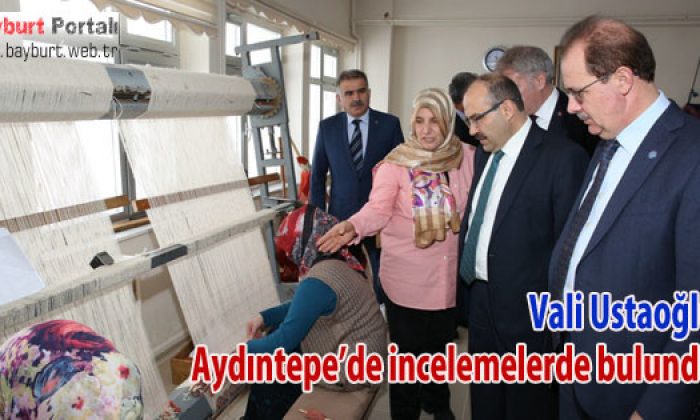Vali Ustaoğlu, Aydıntepe’de ziyaretlerde bulundu