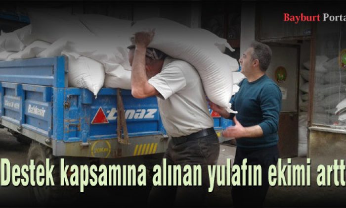 Destek kapsamına alınan yulafın ekimi arttı