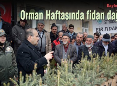 Orman Haftasında fidan dağıtıldı