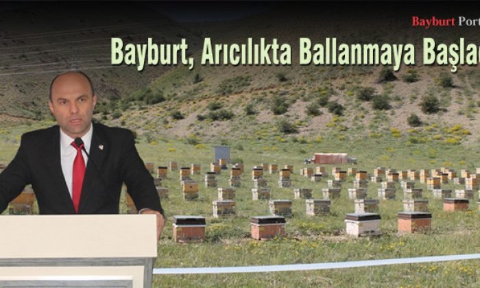 Bayburt Arıcılıkta Ballanmaya Başladı
