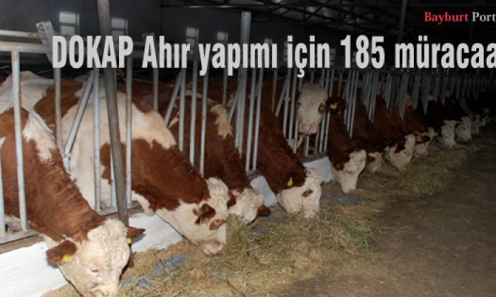 DOKAP Ahır yapımı için 185 müracaat