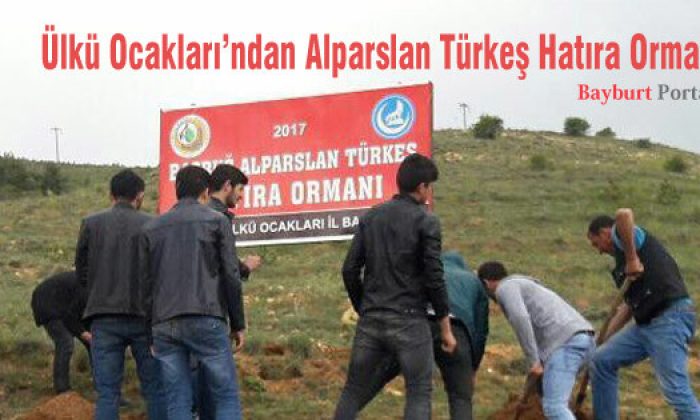Ülkü Ocakları’ndan Alparslan Türkeş Hatıra Ormanı