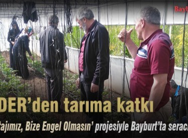 BAYDER, Bayburt’ta seracı yetiştiriyor