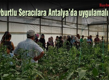 Bayburtlu Seracılara Antalya’da uygulamalı eğitim