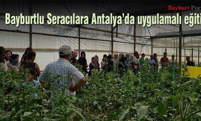 Bayburtlu Seracılara Antalya’da uygulamalı eğitim