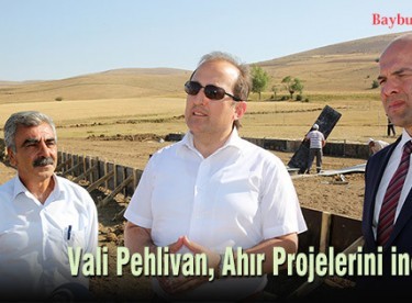 Vali Pehlivan, Ahır Projelerini inceledi