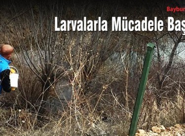 Larvalarla Mücadele Başladı