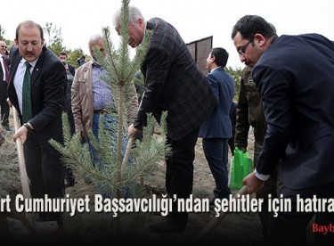 Bayburt Cumhuriyet Başsavcılığın’dan şehitler için hatıra ormanı