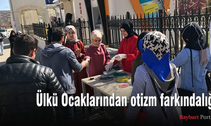 Ülkü Ocaklarından otizm farkındalığı