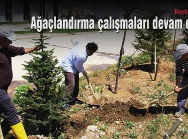 Park ve bahçelerde ağaçlandırma devam ediyor