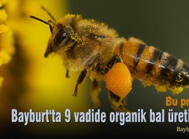 Bayburt’ta 9 vadide organik bal üretilecek
