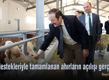 Hibe destekleriyle tamamlanan ahırların açılışı gerçekleşti