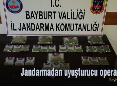 Jandarmadan uyuşturucu operasyonu