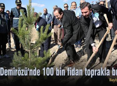 Demirözü’nde 100 bin fidan toprakla buluştu