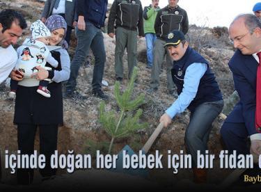 Yıl içinde doğan her bebek için bir fidan dikildi
