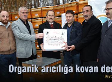 Organik arıcılığa kovan desteği