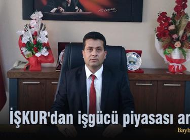 İŞKUR’dan işgücü piyasası analizi