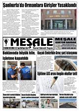 MEŞALE