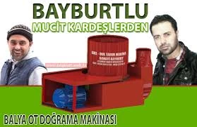 mucit kardesler – Bayburt Portalı – Bayburt Haberleri, Son Dakika Bayburt Web Haber Sitesi