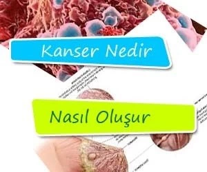 Bayburt Halk Sağlığı Müdürlüğünden Kanser Bilgilendirmesi