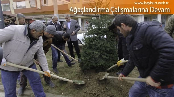 Ağaçlandırma Çalışmalarına Devam