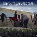 Untitled 110 – Bayburt Portalı