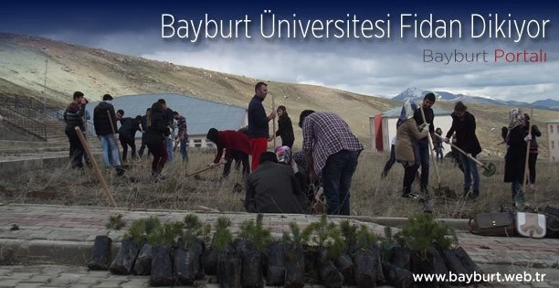 Bayburt Üniversitesi Fidan Dikiyor