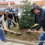 a11 – Bayburt Portalı – Bayburt Haberleri, Son Dakika Bayburt Web Haber Sitesi