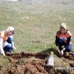 a416 – Bayburt Portalı