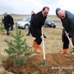 a51 – Bayburt Portalı
